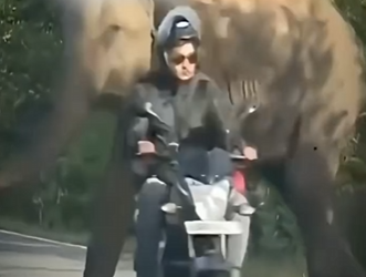 V2212006 ella solo estaba pidiendo ayuda (Part 2)