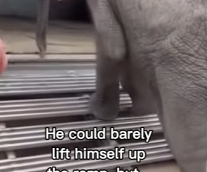 P2312011 not crying you are! (Part 2)