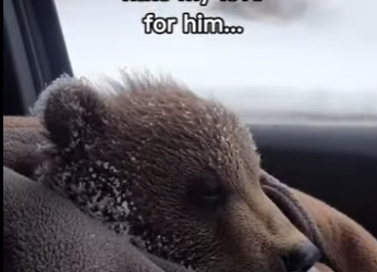 P2312004 Man had risked getting fire to make sure she was okay (Part 2)