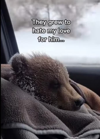 P2312004 Man had risked getting fire to make sure she was okay (Part 2)