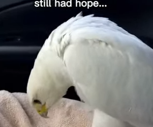 P2312005 at lost words (Part 2)