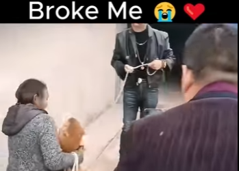 S2112009 Reunion Broke Me (Part 2)