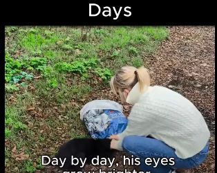 S2112007 Starving Puppy Kneels Food After Days Alone (Part 2)