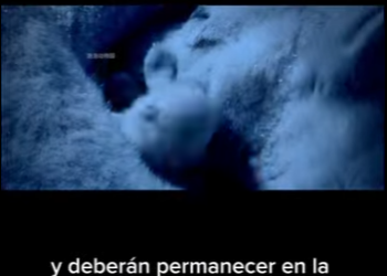 G1912016 En la gélida soledad del Ártico, una madre osa polar da luz sus (Part 2)