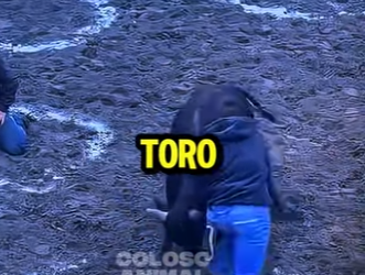 D2412003 Desafío De Con Un Toro Salvaje! (Parte 2)