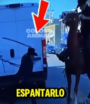 D2412002 Perro Descontrolado Pone En Jaque Policías Montados (Parte 2)