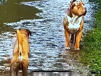 D2212014 Desafían Fuerzas Que Nunca Podrán Superar! (Parte 2)