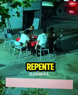 D2212009 El Perro Lo Sabía, Pero Nadie Le Hizo Caso (Parte 2)