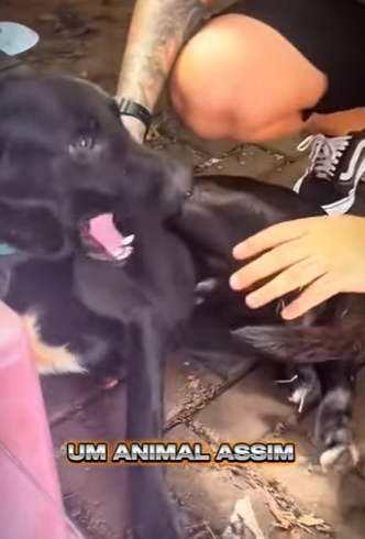 U0102006 Ele sofreu em silêncio, mas encontrou no resgate uma nova chance de (Parte 2)