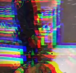 V2312006 perrito reconoce a su antiguo dueno chachorros historias mascotas (Parte 2)