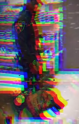 V2312006 perrito reconoce a su antiguo dueno chachorros historias mascotas (Parte 2)