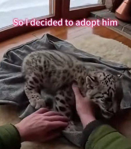 Q2212010 surprise in snowstorm (Part 1)