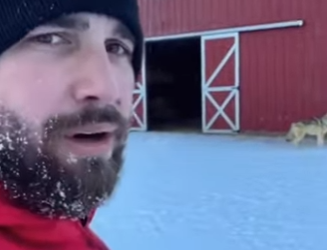 Q2212001 Replying to couldn believe it when it happened rip wolf (Parte 2)