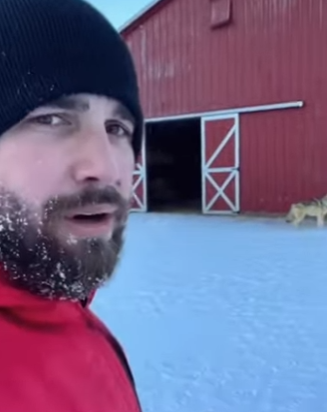 Q2212001 Replying to couldn believe it when it happened rip wolf (Parte 2)