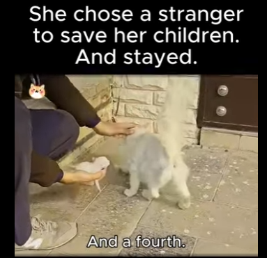 D2212002 She chose stranger to save her children (Part 2)