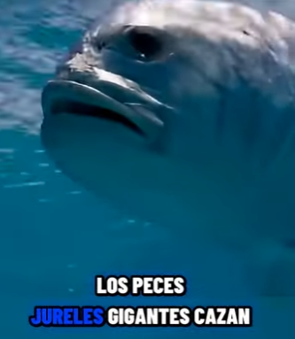 G2312014 Datos de Animales que No Te Enseñan en la (Parte 2)