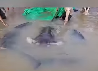 G2312008 Leyendas de Rios que Fueron (Parte 2)