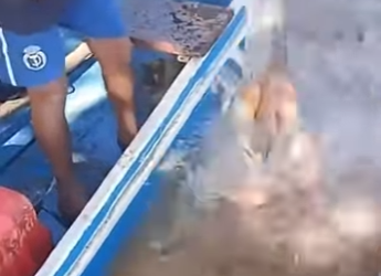 G2312009 Bestias Enc (Parte 2)