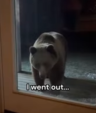 Q2412002 Bear gave me treat helping (Part 2)