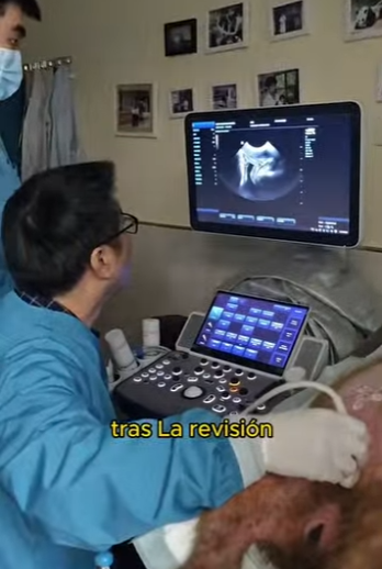 A2412007 Rescuing capybara drain (Parte 2)