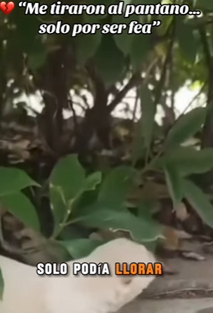 F2012001 Me tiraron al pantano solo por ser fea (Parte 2)