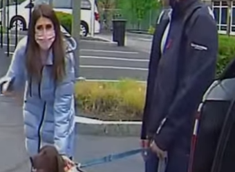 V2412006 la reportera se encontró el perrito en pleno reportaje (Parte 2)