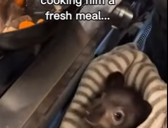 P2512004 He now home (Part 2)