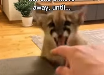 P2512006 She came into my life in right moment (Part 2)