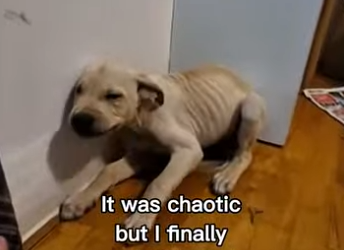 P2512002 Link in bio exclusive content! (Part 2)