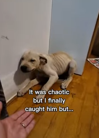 P2512002 Link in bio exclusive content! (Part 2)