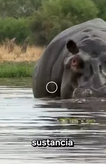 G2512003 Datos de Animales Que Ponen Los Pelos de Punta (Parte 2)