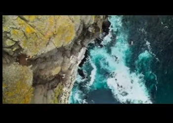 G2212005 Desafíos de la vida la supervivencia Hablamos sobre temas delicad (Part 2)