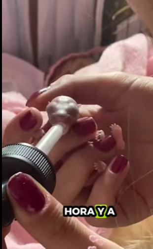 R3412003 Ardillas de rescate (Parte 2)