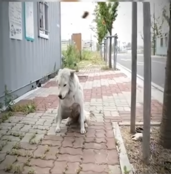 V2512002 La dejaron sola pero alguien cambió su vida (Parte 2)