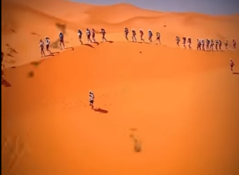 V2512013 Historias que hacen llorar parte (Parte 2)