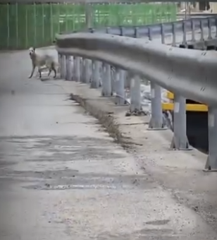 V2512007 prohibido llorar (Parte 2)