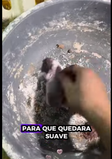 R3412006 Conejo rescatado (Parte 2)