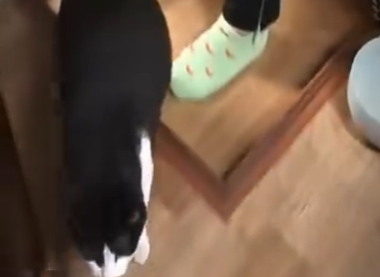 V2512011 Ella solo estába pidiendo ayuda (Parte 2)