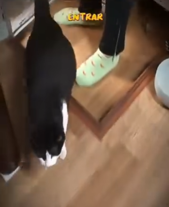 V2512011 Ella solo estába pidiendo ayuda (Parte 2)