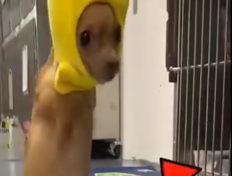 V2512009 cuando te sientas mal mira este (Parte 2)