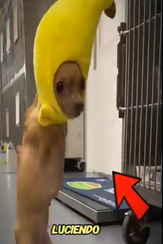 V2512009 cuando te sientas mal mira este (Parte 2)