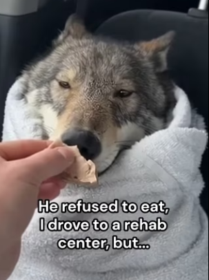 Q2412010 He saved my life! Wait till end (Part 2)