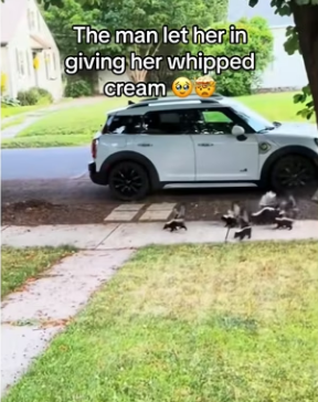 Q2412009 skunk needed help (Part 2)