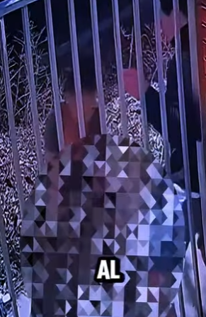 D2512002 De Un Perro Trepando Como Gato! (Part 2)