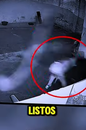 D2512003 Ladrón Entra Dos Pitbulls Lo Hacen Volar! (Part 2)