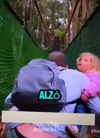 D2512007 Mono Sorprende Al Esquivar Una Familia En El Puente! (Part 2)