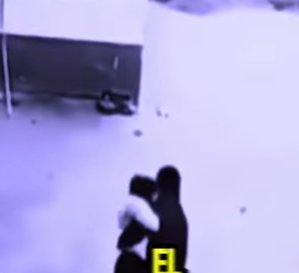 D2512001 Perro Héroe Salva Su Dueña De Un Secuestro! (Part 2)