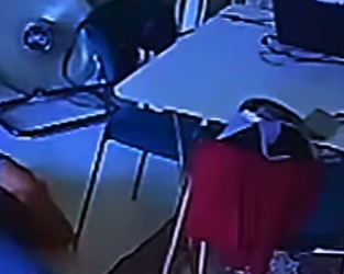 D2512006 Dragón De Komodo Entra Casa Nadie Lo Nota! (Part 2)