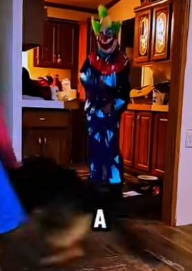 D2512005 Pastor Alemán Huye Del Payaso Mientras Un Perrito Lo Enfrenta (Part 2)