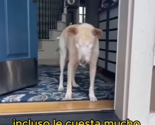 A2612002 sure sun is not as bright as you (Parte 2)